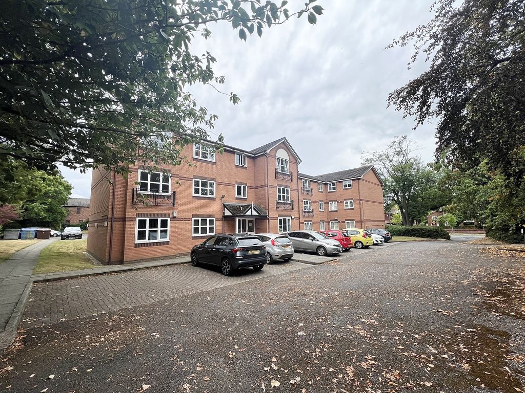 Main Image